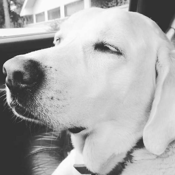 Meet your Posher, Emily - Picture 1 of 1